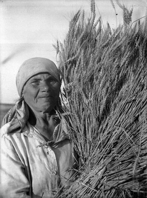 Stakhanov11.jpg