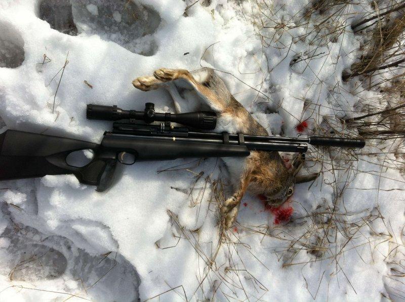 Пневматическое охотничье оружие: хорошо забытое старое