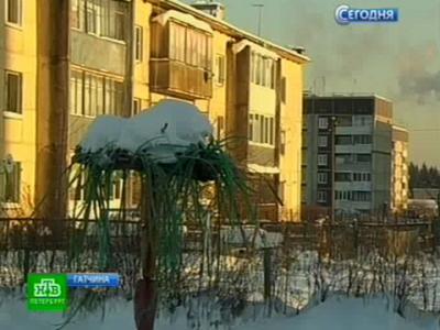 Лазарева: этот журнал у него большая аудитория