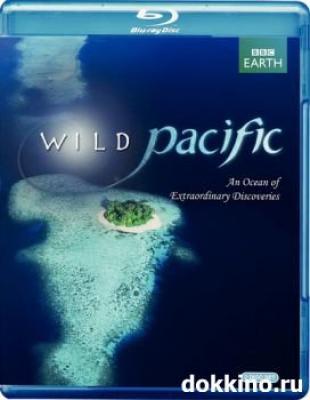 Загадка атлантиды