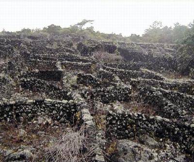 Святой грааль + священный грааль атлантиды