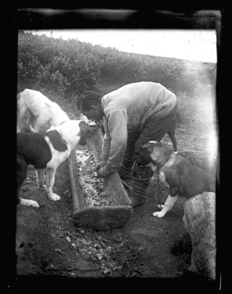 Деревенская жизнь Иркутской губернии в 1900-1930 годах