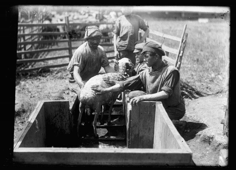 Деревенская жизнь Иркутской губернии в 1900-1930 годах