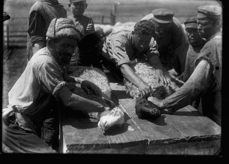 Деревенская жизнь Иркутской губернии в 1900-1930 годах