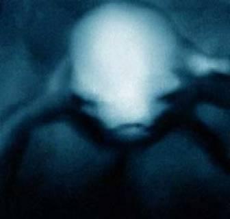 Нингены - подводные гуманоиды () Нингены - подводные гуманоиды