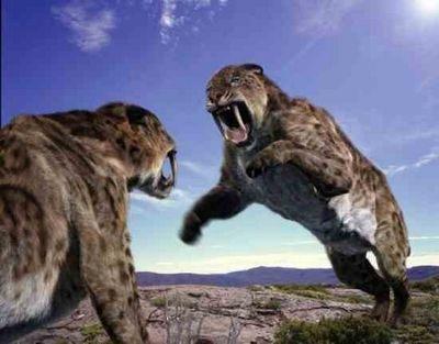10 огромных доисторических кошек