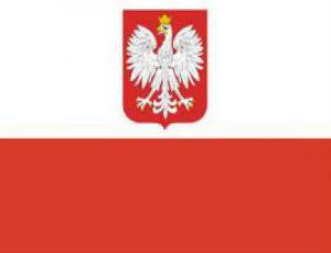 Дональд Туск: "Мир стоит на грани конфликта, последствия которого никто еще не осознает"