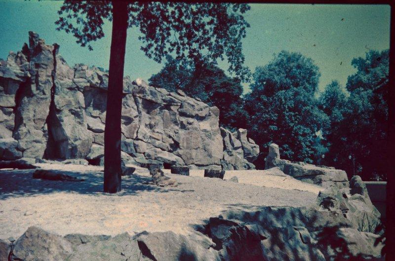 Берлин 1937 в фотографиях Томаса Нойманна