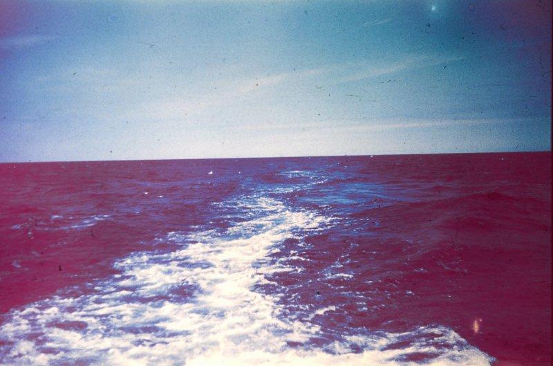 Берлин 1937 в фотографиях Томаса Нойманна