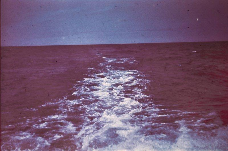 Берлин 1937 в фотографиях Томаса Нойманна