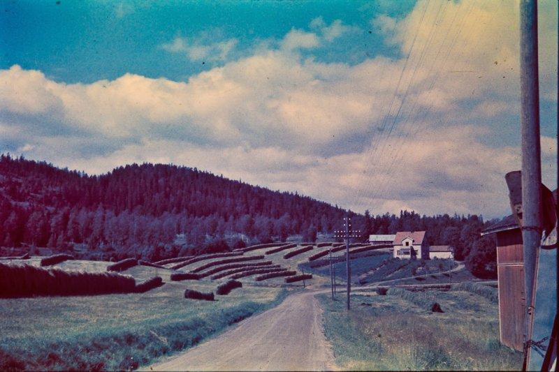 Берлин 1937 в фотографиях Томаса Нойманна