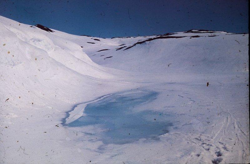 Берлин 1937 в фотографиях Томаса Нойманна