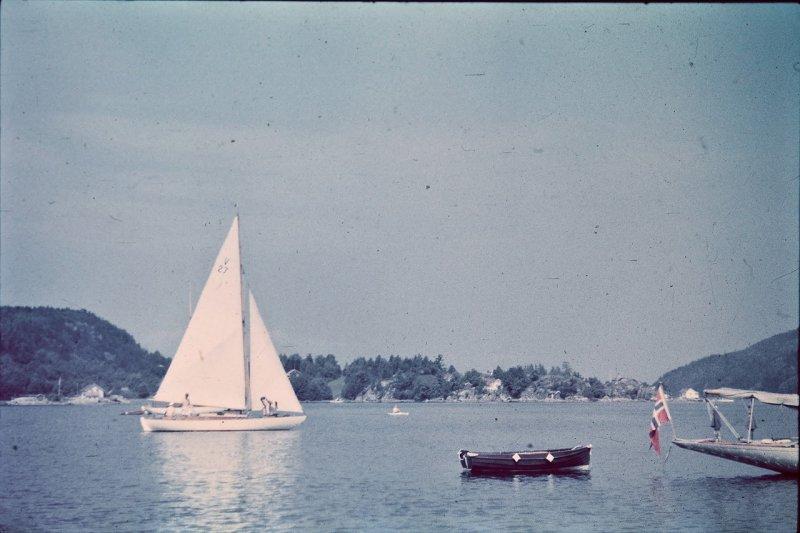 Берлин 1937 в фотографиях Томаса Нойманна
