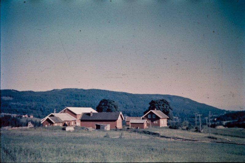 Берлин 1937 в фотографиях Томаса Нойманна