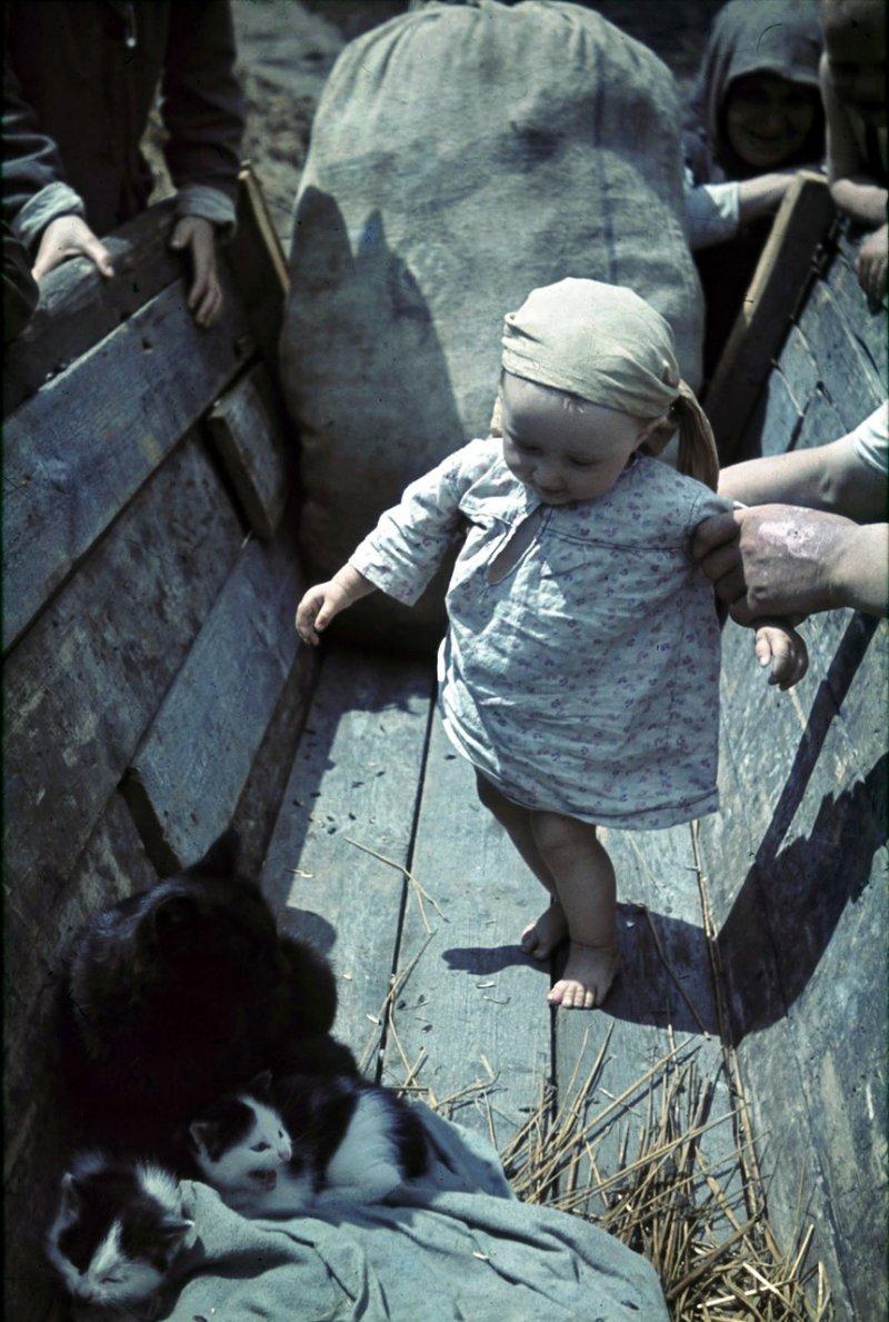 Фотограф Франц Грассер в Белгородской области. 1943