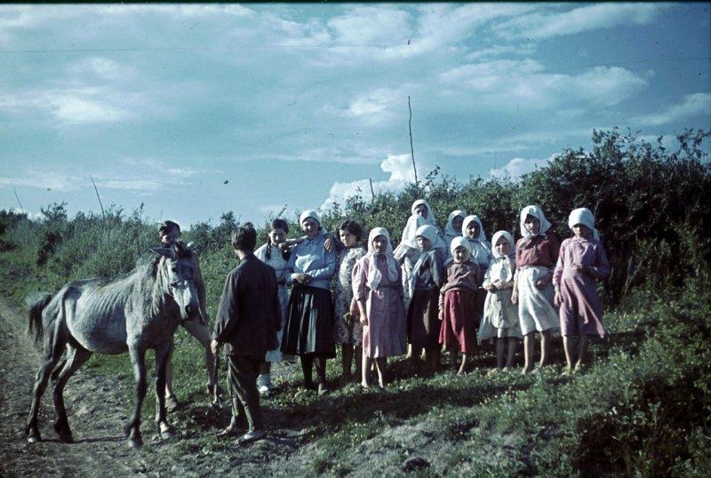 Фотограф Франц Грассер в Белгородской области. 1943