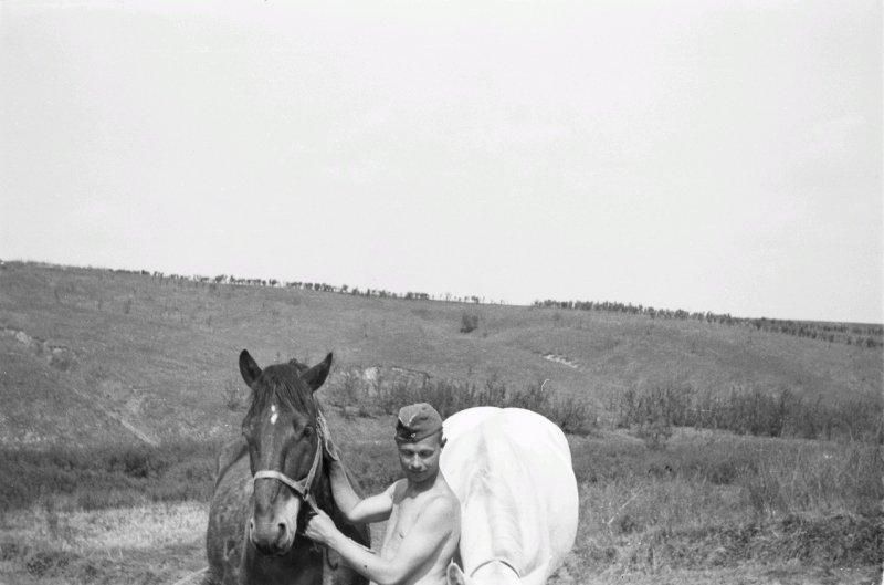 Фотограф Франц Грассер в Белгородской области. 1943