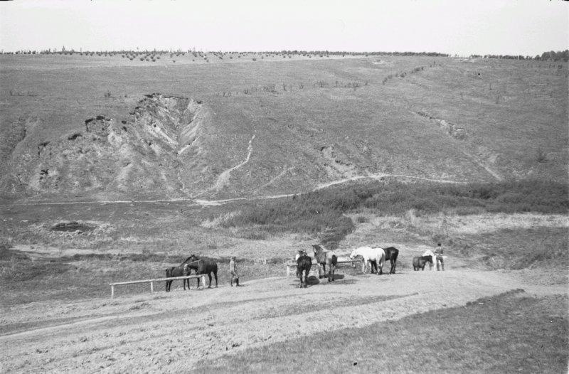 Фотограф Франц Грассер в Белгородской области. 1943