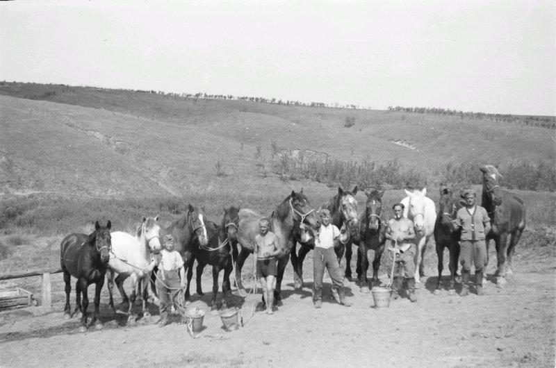 Фотограф Франц Грассер в Белгородской области. 1943