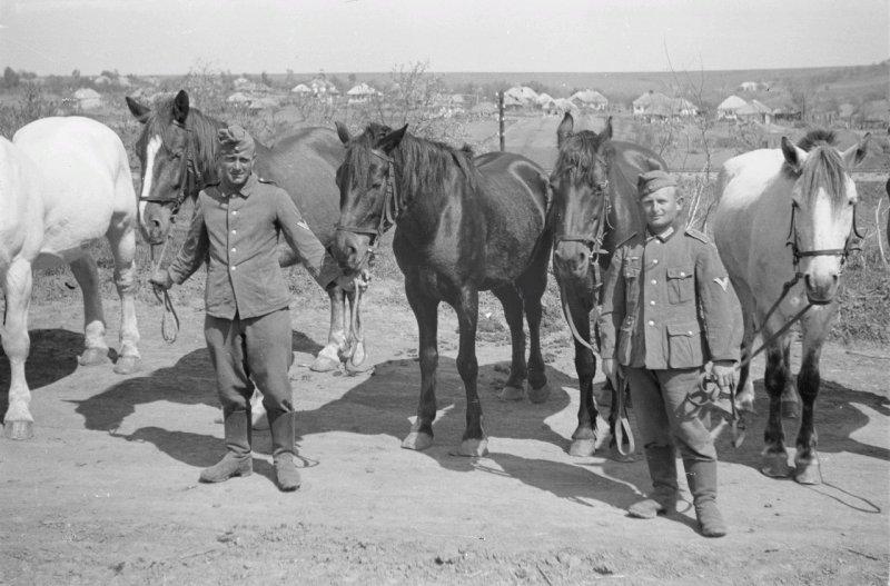 Фотограф Франц Грассер в Белгородской области. 1943
