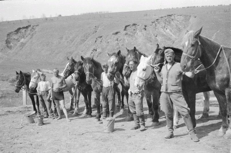 Фотограф Франц Грассер в Белгородской области. 1943