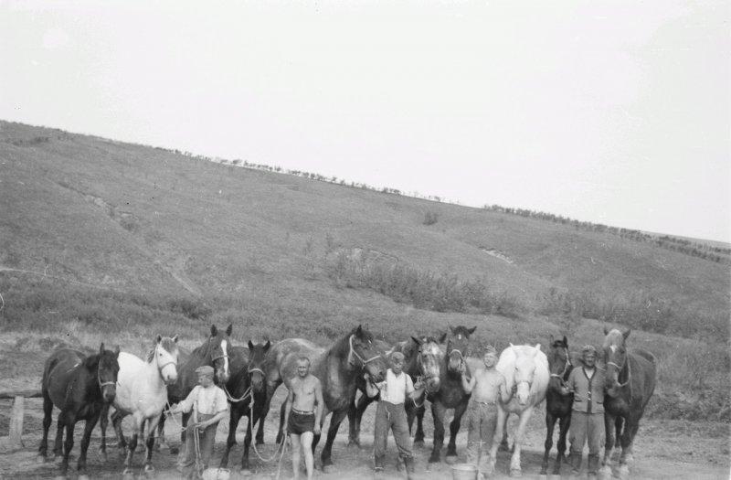 Фотограф Франц Грассер в Белгородской области. 1943