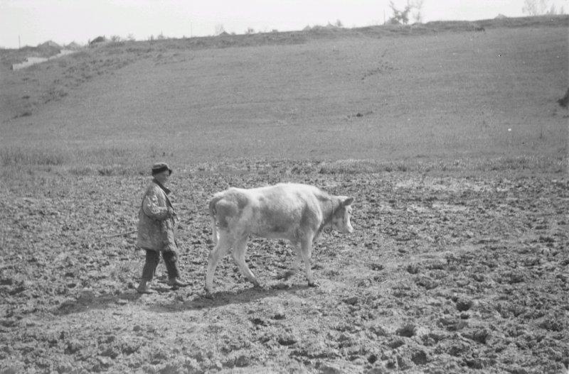 Фотограф Франц Грассер в Белгородской области. 1943