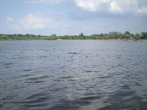 Тайна «Слова о полку Игореве»