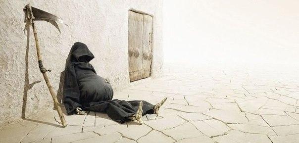 Самые нелепые самоубийства