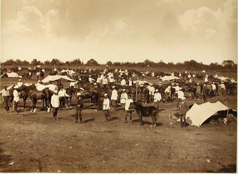 Гвардия под Константинополем. 1878 () Гвардия под Константинополем. 1878