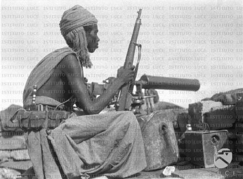 Легионеры Красного моря: судьба эритрейских аскари в колониальной эпопее Италии () Легионеры Красного моря: судьба эритрейских аскари в колониальной эпопее Италии