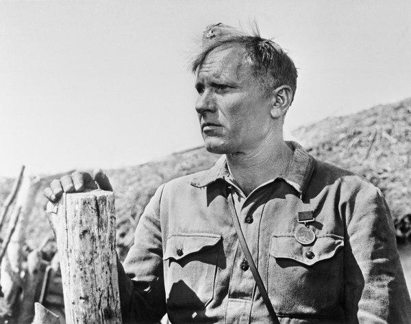 Шукшин () Шукшин