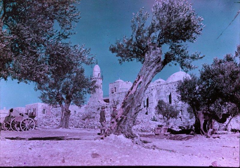 Великая Война в цвете