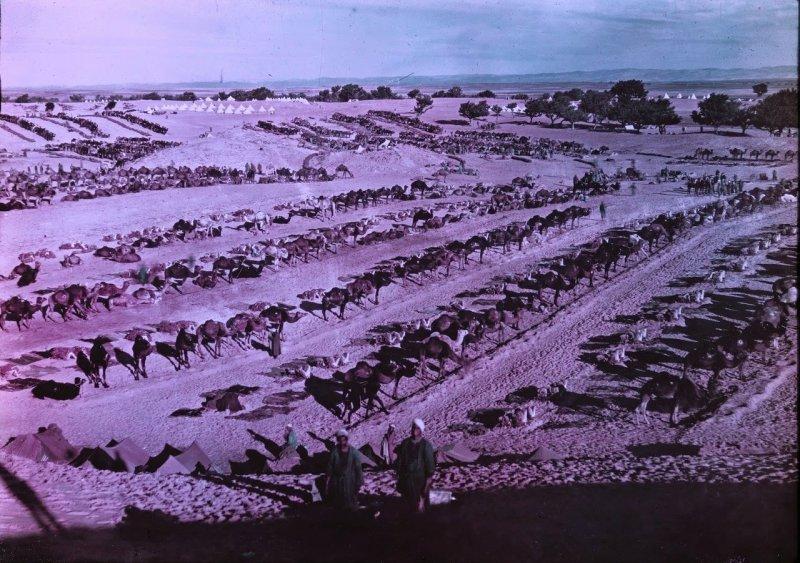 Великая Война в цвете