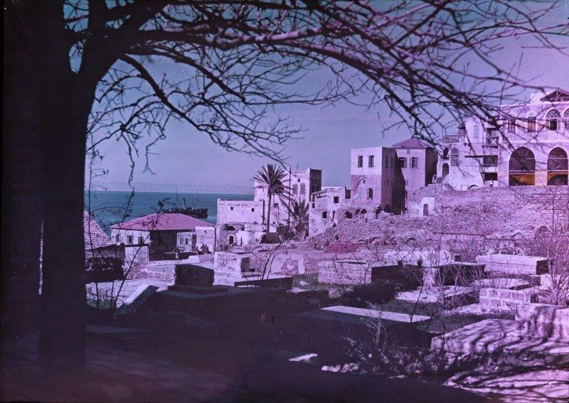 Великая Война в цвете