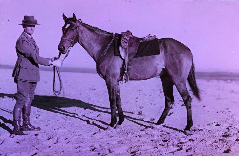 Великая Война в цвете