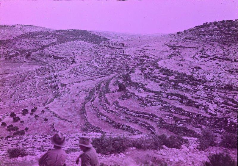 Великая Война в цвете