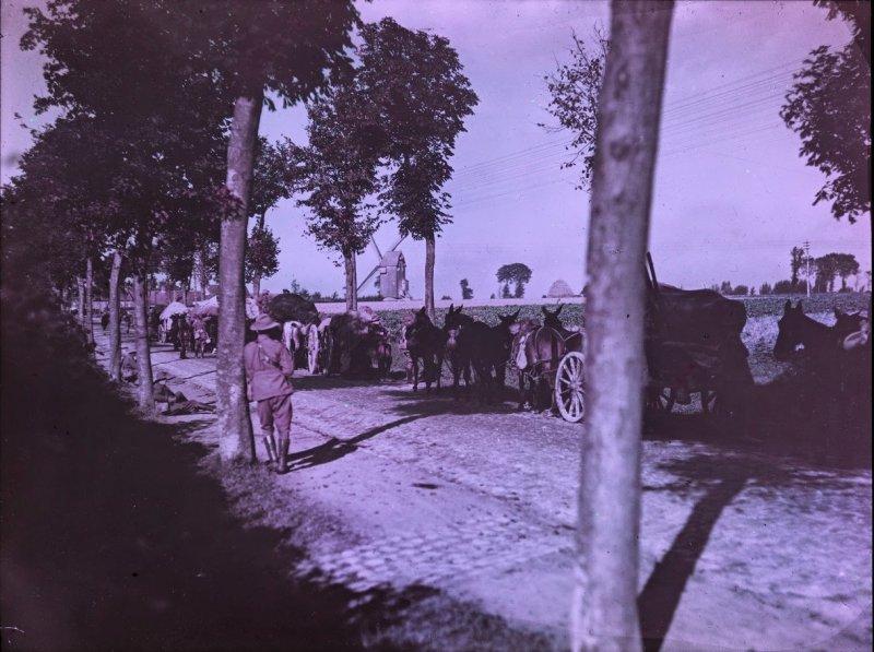 Великая Война в цвете