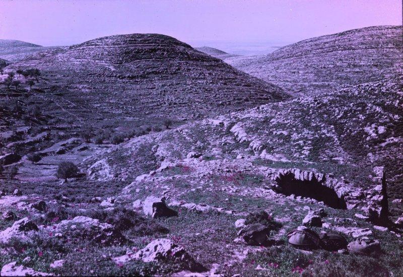 Великая Война в цвете