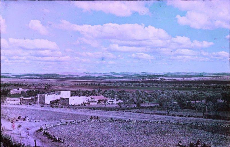 Великая Война в цвете