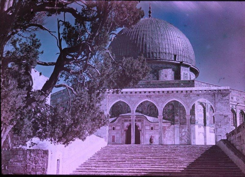 Великая Война в цвете