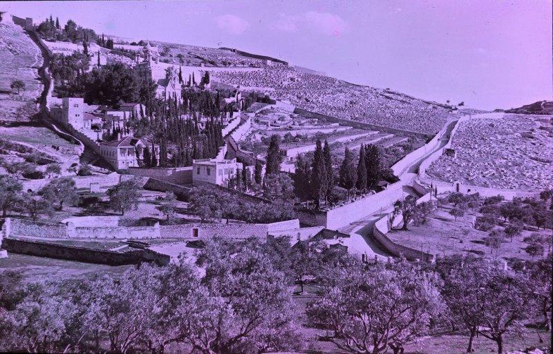 Великая Война в цвете