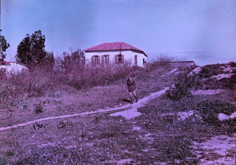 Великая Война в цвете