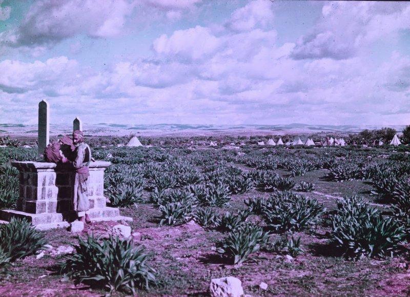 Великая Война в цвете