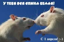 1 апреля — день богини Кали и домового