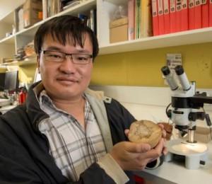 10 невероятных доисторических открытий, сделанных в 2014-м году