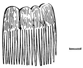 Деревянный гребень из мужского погребения кург. 1 могильника Ак-Алаха I.