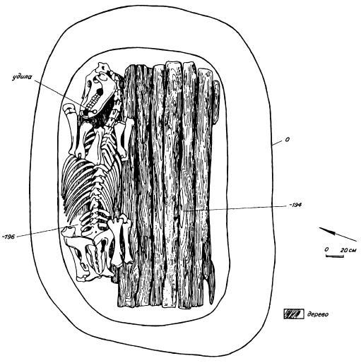 План погребения коня и второго перекрытия сруба в кургане 2 могильника Ак-Алаха I
