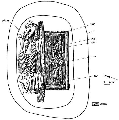 План погребения коня и ребенка в деревянном сооружении в кург. 2 могильника Ак-Алаха I.