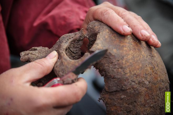 Археологи нашли в Прикамье могильник с захоронениями V века